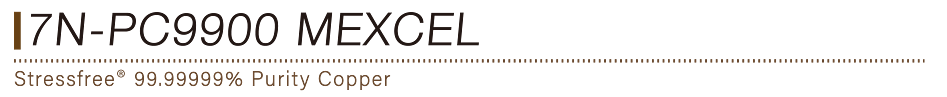 7N-PC9900MEXCEL