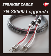 7N-S8500_Leggenda