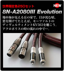 NEW 8N-A2080III