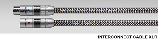 INTERCONNECT CABLE RCA